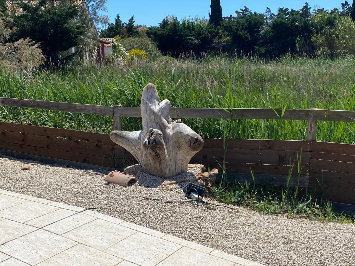 Le Mas De Cocagne Saintes-Maries-de-la-Mer Zewnętrze zdjęcie